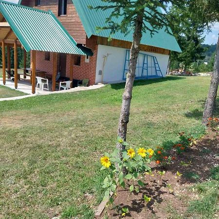 House In Forest Žabljak Kültér fotó