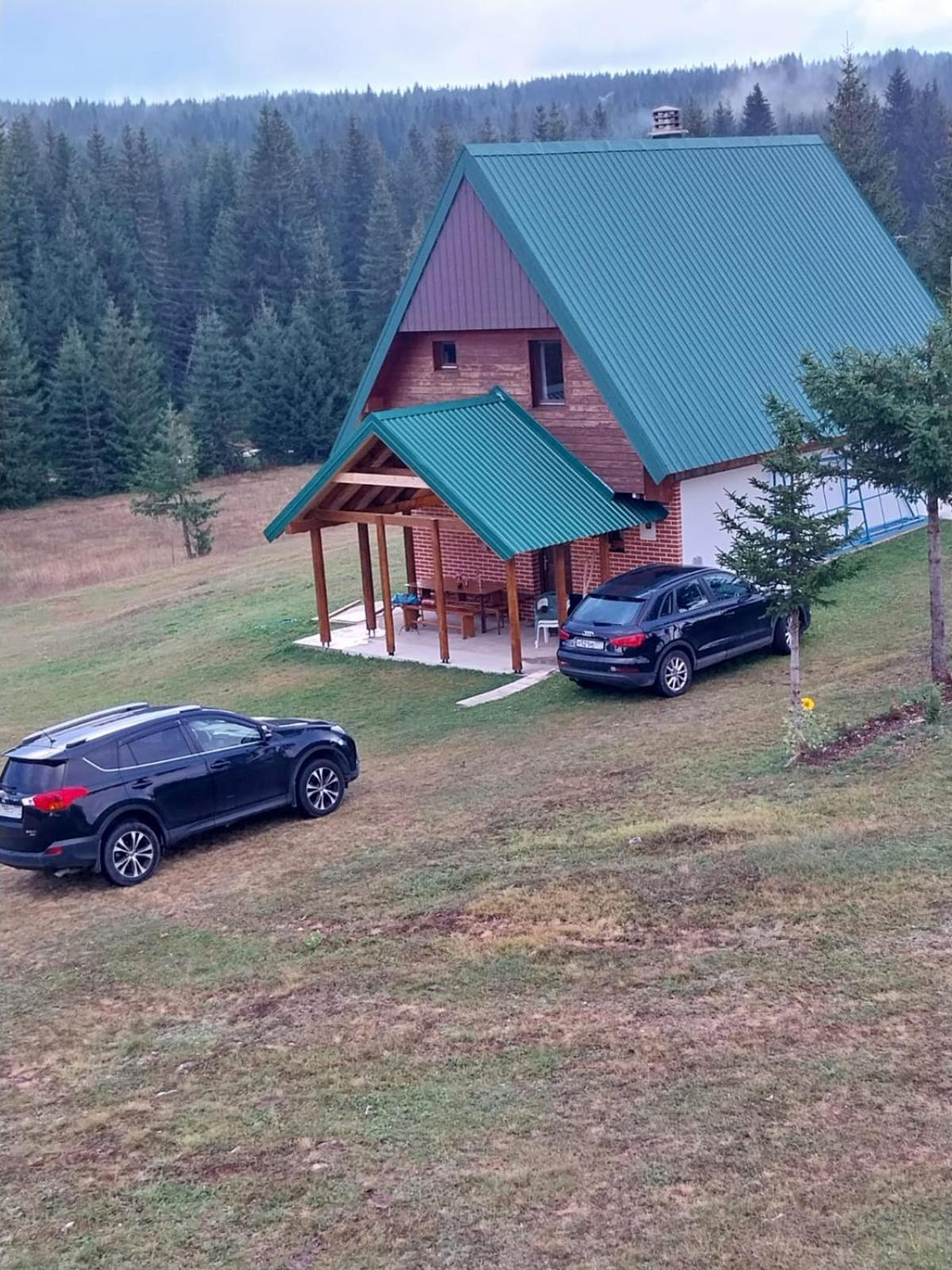 House In Forest Žabljak Kültér fotó