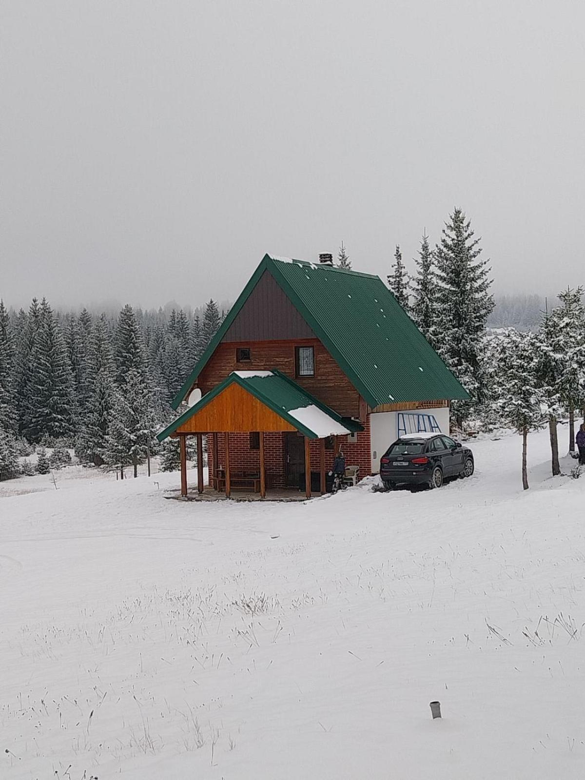 House In Forest Žabljak Kültér fotó