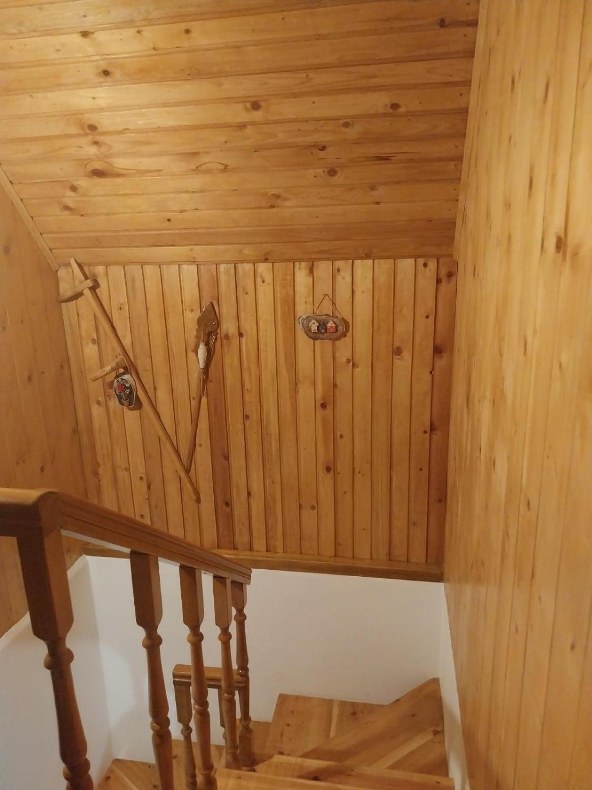House In Forest Žabljak Kültér fotó