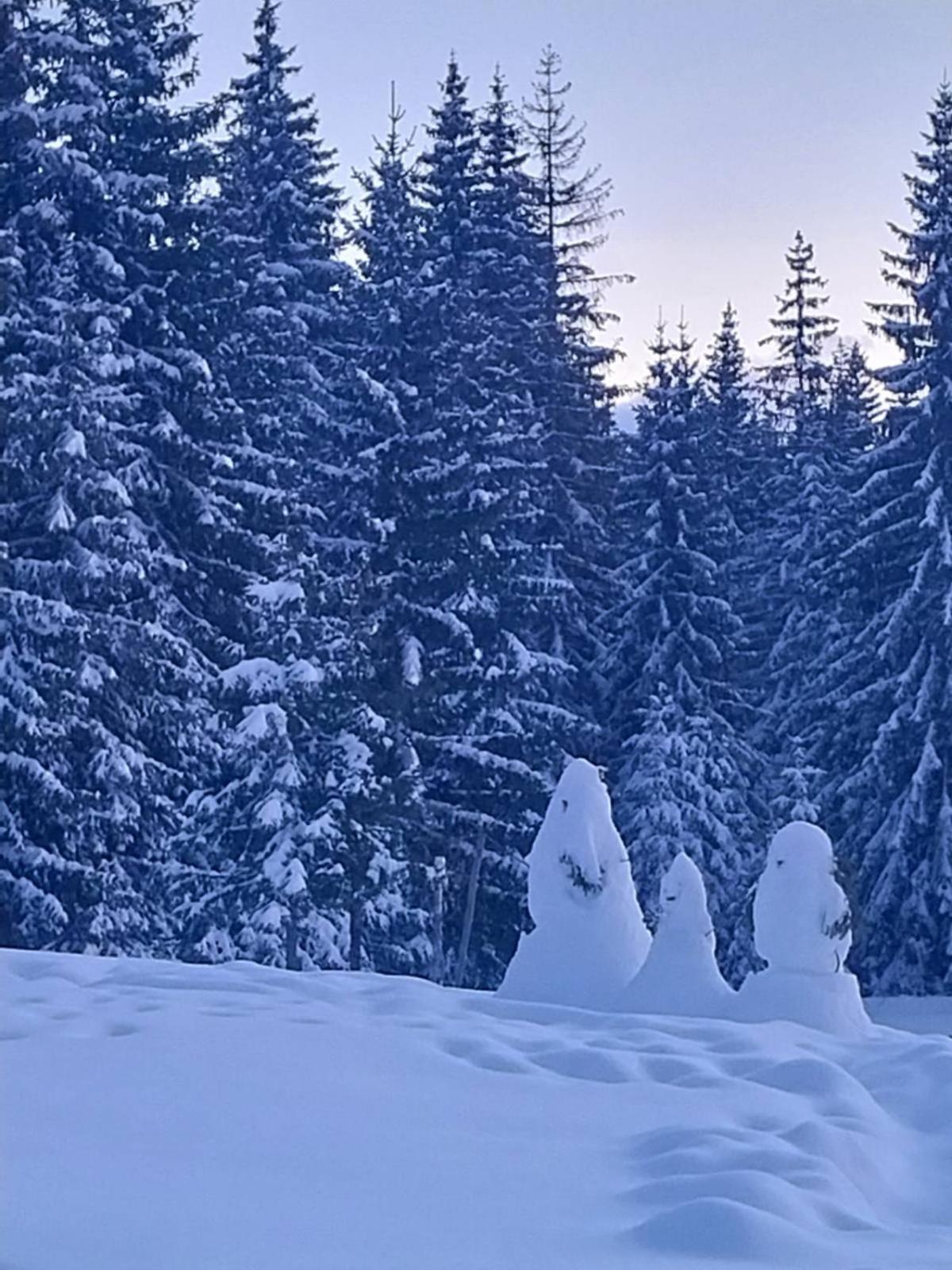 House In Forest Žabljak Kültér fotó