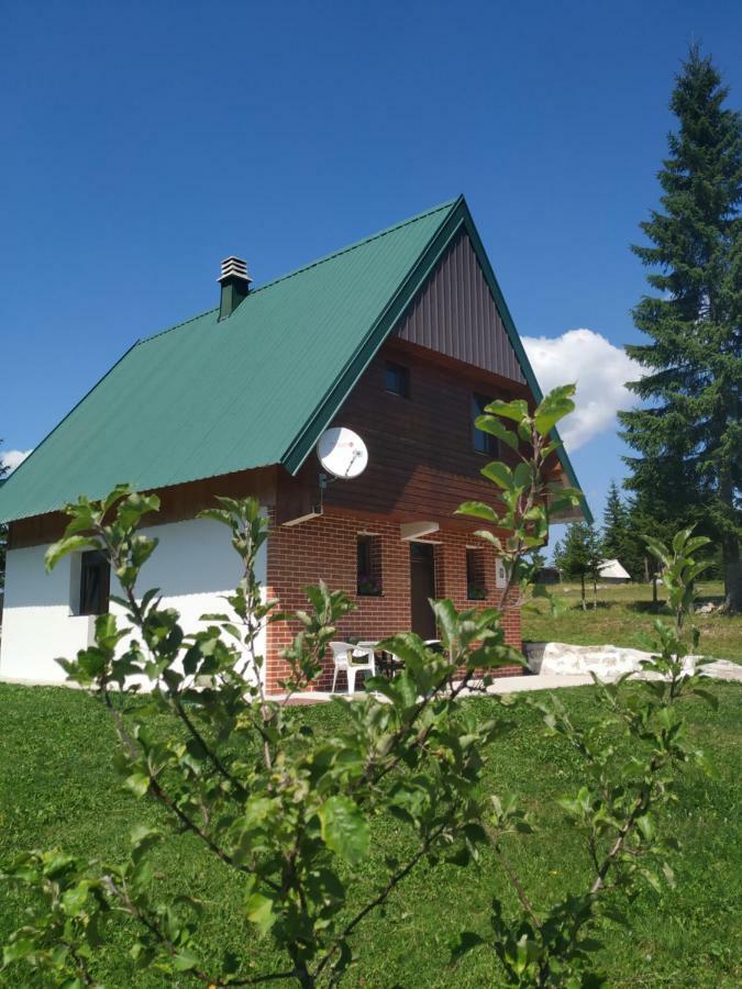 House In Forest Žabljak Kültér fotó