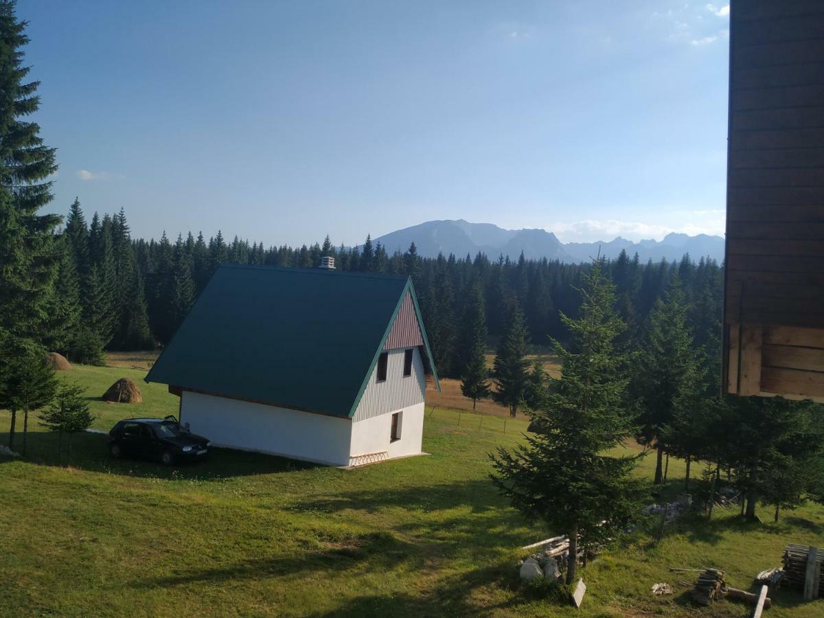 House In Forest Žabljak Kültér fotó