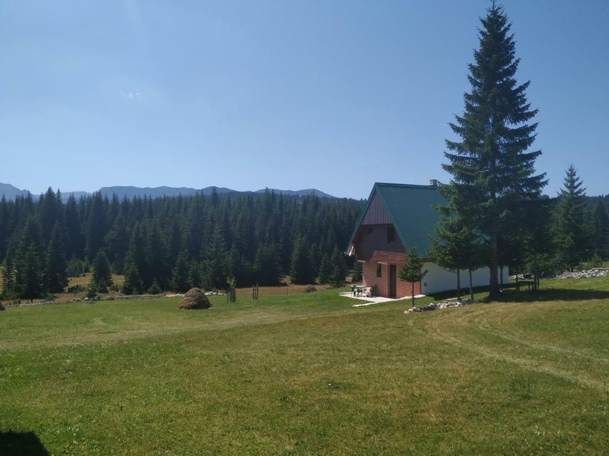 House In Forest Žabljak Kültér fotó