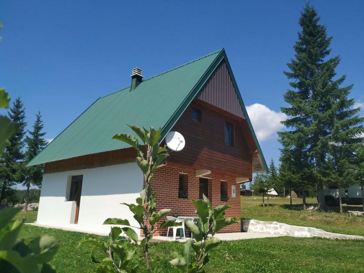 House In Forest Žabljak Kültér fotó